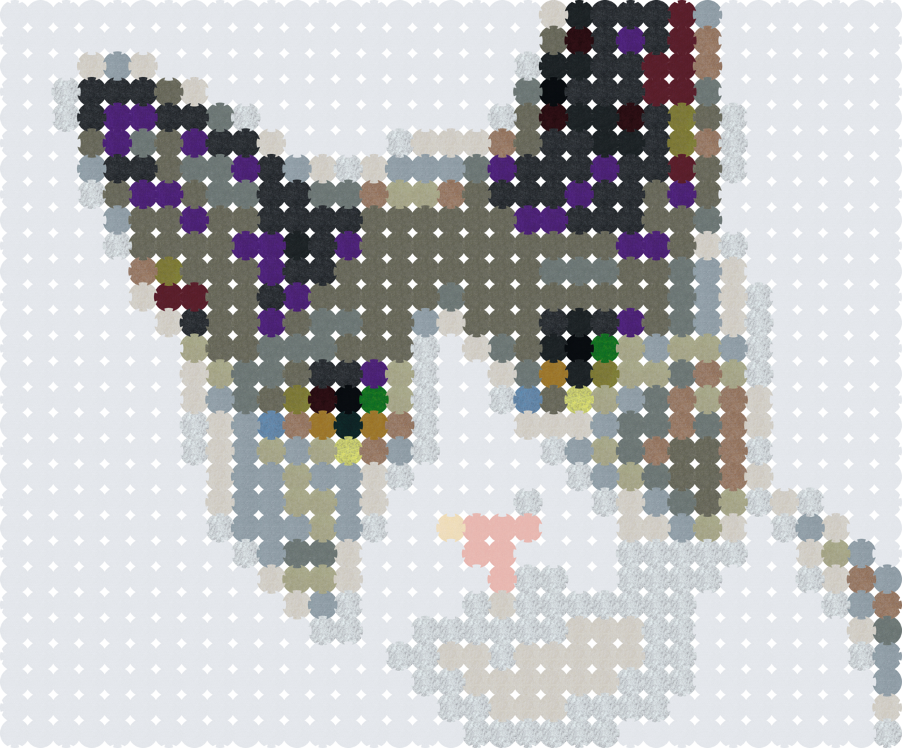 Kitten